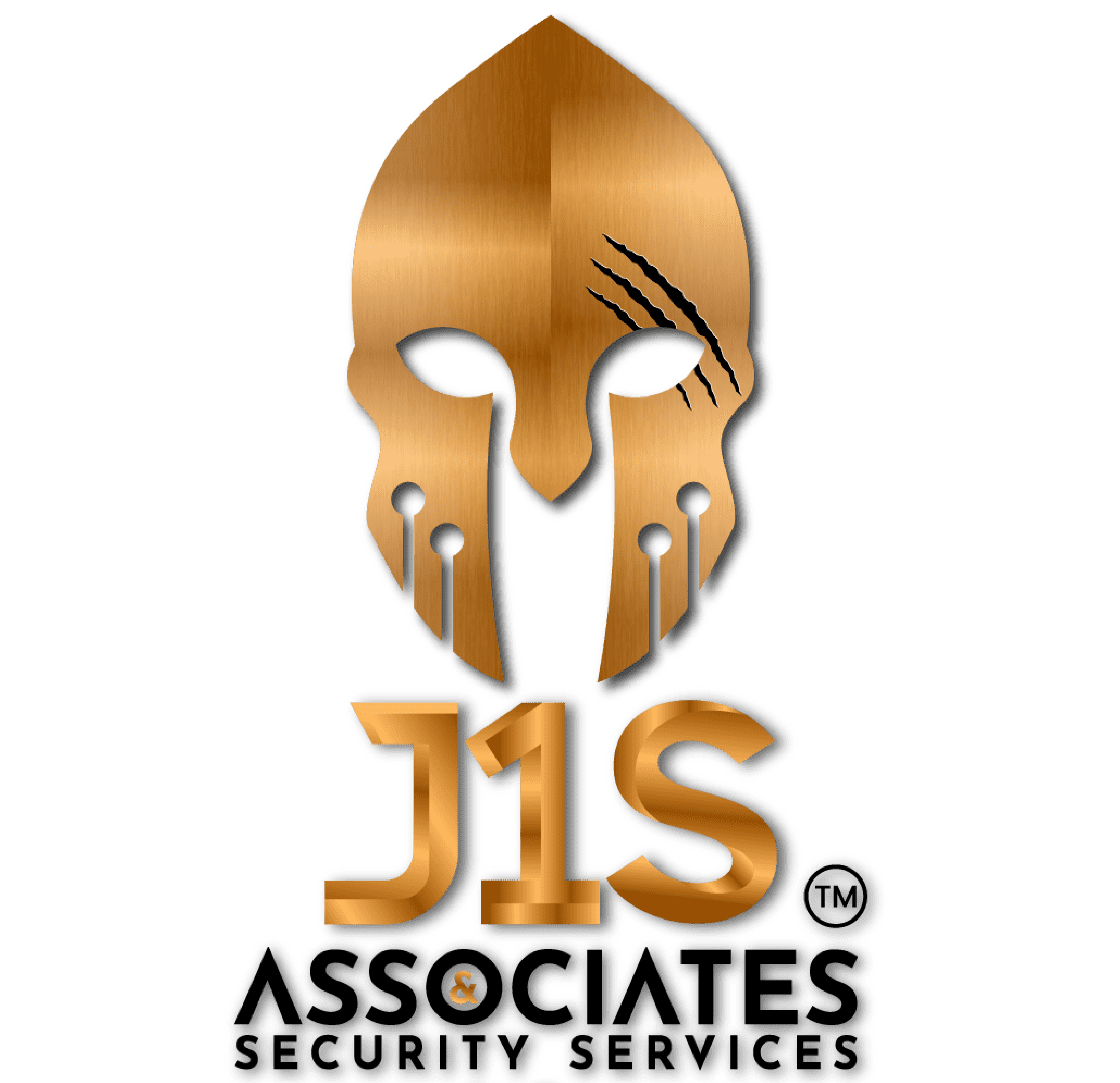 Hero image 2 J1S logo